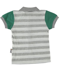 Tricou Polo, Surf Board, bumbac, baieti, verde cu gri