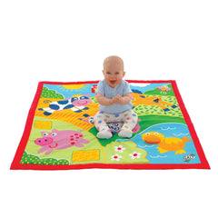 Salteluta activitati bebelusi Ferma