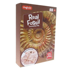 Kit paleontologie - Descopera fosile