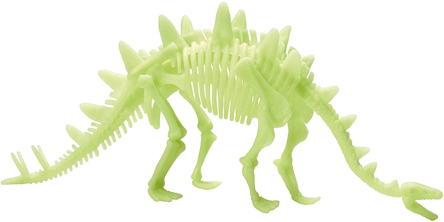 Schelet Stegosaurus reflectorizant