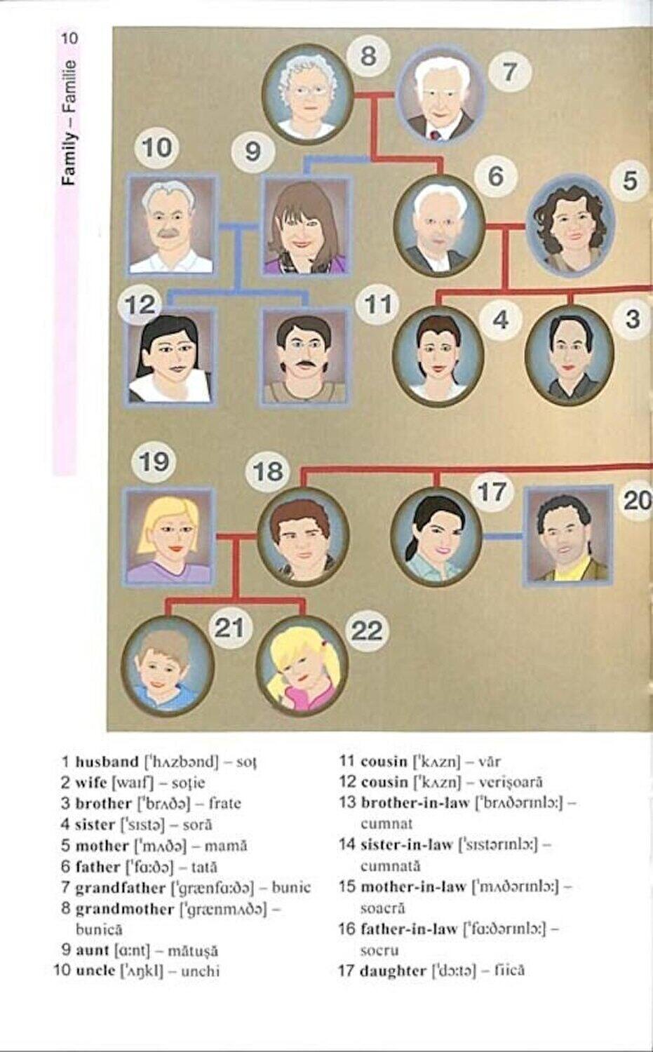 Vocabularul de baza in imagini - Limba engleza