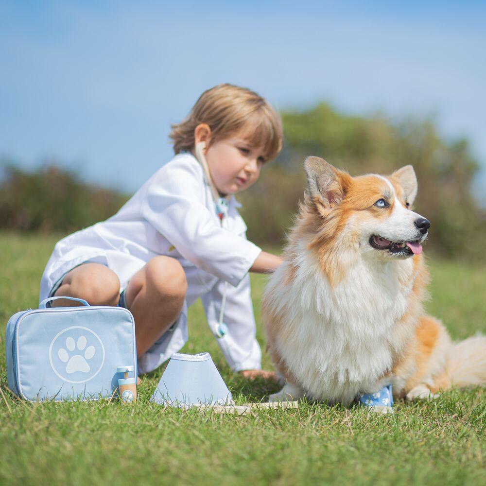 Setul micului veterinar