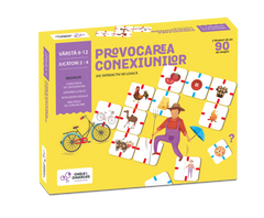 Provocarea conexiunilor -  Why Connect